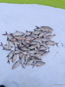 IMG_0689.JPG