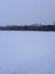 IMG_0692.JPG
