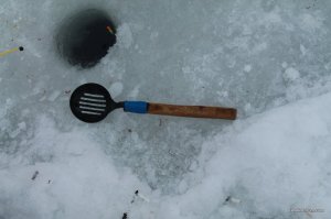IMG_3887.JPG