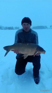 20170125_153711.jpeg