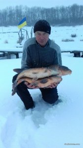 20170125_153653.jpeg