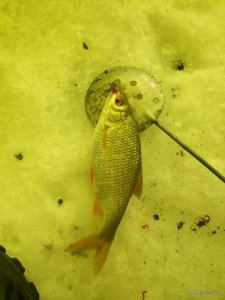 20170126111447.jpg