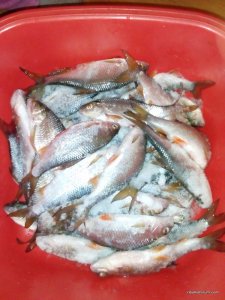 IMG_20170125_182135.jpg