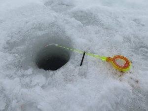 IMG_0804.JPG