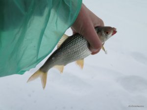 IMG_0808.JPG