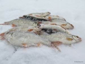 IMG_0813.JPG