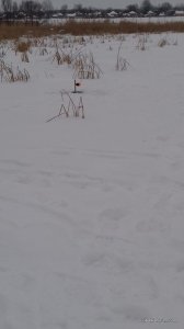 20170128_074627.jpg