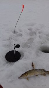 20170128_082044.jpg