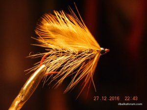 DSCN3720.JPG