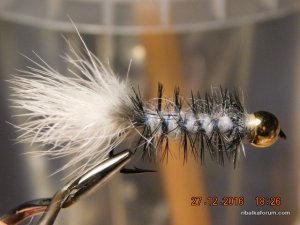 DSCN3697.JPG