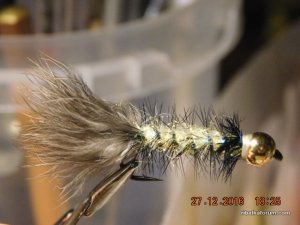 DSCN3695.JPG
