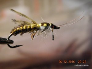 DSCN3689.JPG
