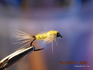 DSCN3588.JPG