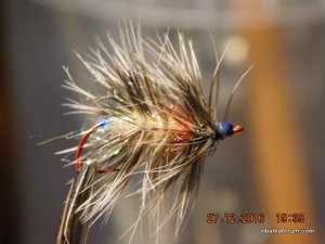 DSCN3702.JPG