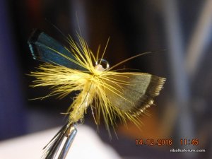 DSCN3430.JPG