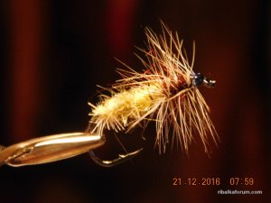 DSCN3549.JPG