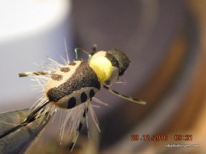 DSCN3726.JPG