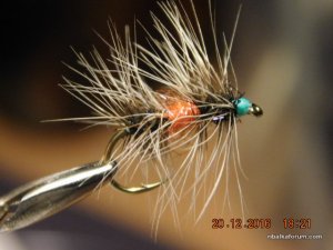 DSCN3544.JPG
