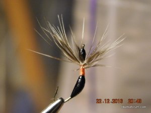 DSCN3625.JPG