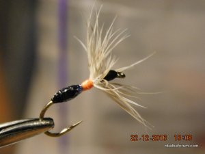 DSCN3620.JPG