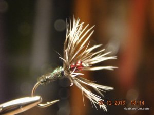 DSCN3636.JPG