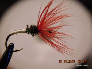 DSCN3522.JPG