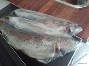 IMG_20160311_180954.jpg