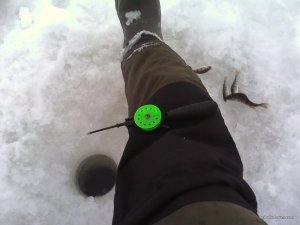 IMG_20170128_090236.jpg