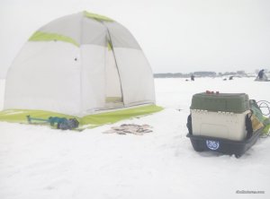 P70128-150819.jpg