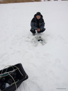 IMG_20170128_113816.jpg