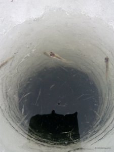 IMG_20170128_100808.jpg