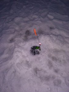 IMG_20170128_164648.jpg