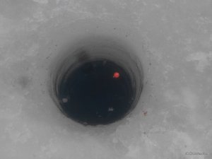 2017128114650.jpg
