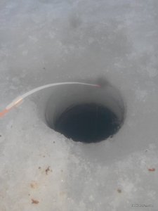 2017128153308.jpg