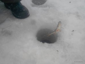 2017128153152.jpg