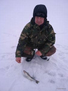 IMG_20170128_145303.jpg