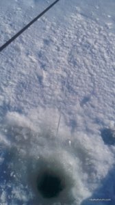 IMG_20170129_100940.jpg