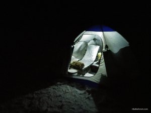 IMG_20170128_031144_BURST2.jpg