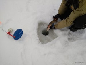 IMG_20170128_081118_1.jpg
