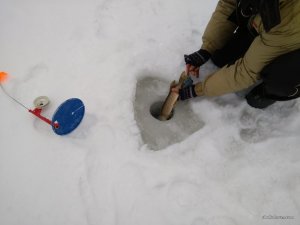 IMG_20170128_081119.jpg