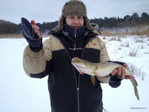 IMG_20170128_120415.jpg