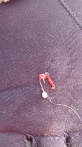 20170129_143539.jpg