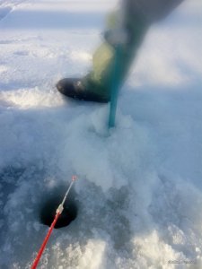 IMG_20170129_142219.jpg