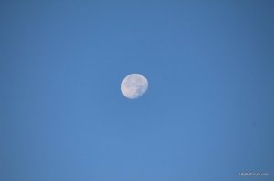 IMG_1925.JPG