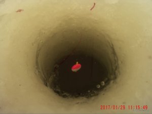 11150002.JPG