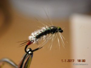 DSCN3838.JPG