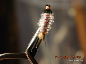 DSCN3827.JPG