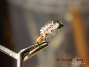 DSCN3828.JPG