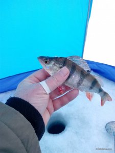 IMG_20170203_133959.jpg