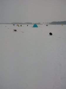 IMG_20170203_145315.jpg